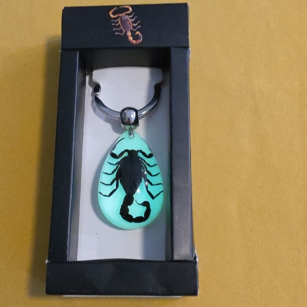 NIB ▪ Glow In The Dark Keychain w/ Black Scorpion ▪︎ Encased in Lucite Resin 🦂